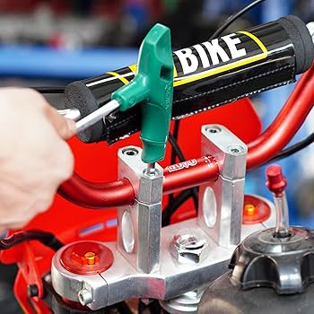 レッド　ライティング　フード 宿根草］フロックス パニキュラータ 'レッドライディングフード